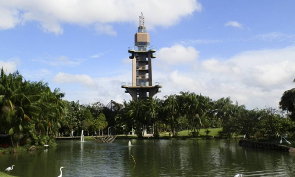 Belem City Tour: The nature and its wealth