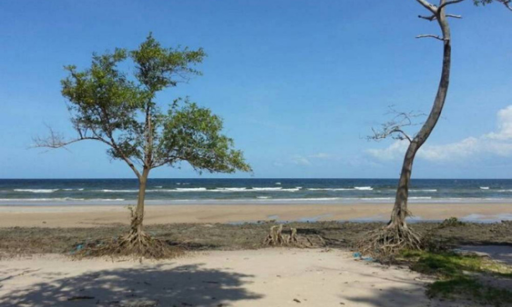 Ilha De Marajó 3 dias e 2 noite