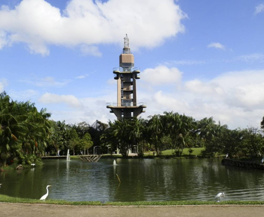 Belem City Tour: The nature and its wealth