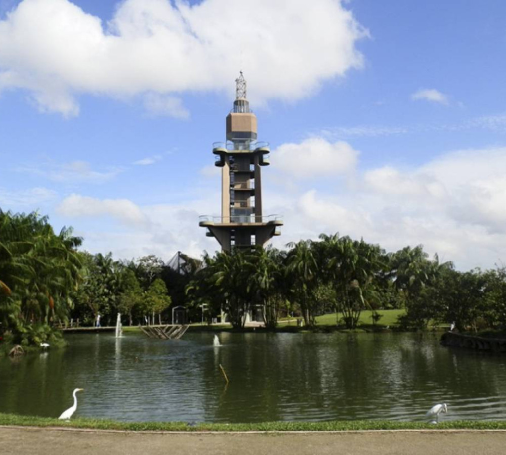 Belem City Tour: The nature and its wealth